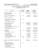 Báo cáo tài chính hợp nhất năm 2007 (đã kiểm toán) - Công ty Cổ phần Dược phẩm Cửu Long