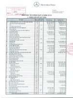 Báo cáo tài chính công ty mẹ quý 4 năm 2010 - Công ty Cổ phần Dịch vụ Ô tô Hàng Xanh