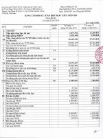 Báo cáo tài chính hợp nhất quý 1 năm 2013 - Ngân hàng Thương mại Cổ phần Xuất nhập khẩu Việt Nam