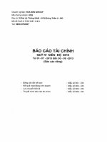 Báo cáo tài chính công ty mẹ quý 4 năm 2013 - Công ty Cổ phần Tập đoàn Hoa Sen