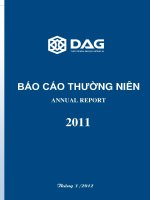 Báo cáo thường niên năm 2011 - Công ty Cổ phần Tập đoàn Nhựa Đông Á