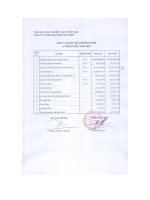 Báo cáo tài chính 6 tháng đầu năm 2010 - Công ty Cổ phần Thể thao Ngôi sao Geru