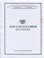 Báo cáo tài chính quý 1 năm 2013 - Công ty Cổ phần Đầu tư và Phát triển Đa Quốc Gia I.D.I