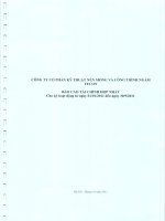 Báo cáo tài chính 9 tháng đầu năm 2011 - Công ty cổ phần FECON