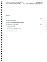 Báo cáo tài chính quý 2 năm 2010 (đã kiểm toán) - Công ty Cổ phần Cao su Hòa Bình