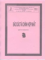 Báo cáo tài chính hợp nhất quý 4 năm 2013 - Công ty Cổ phần Ngoại thương và Phát triển Đầu tư Thành phố Hồ Chí Minh