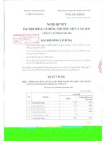 Nghị quyết đại hội cổ đông ngày 23-1-2010 - Công ty Cổ phần Tập đoàn Hà Đô