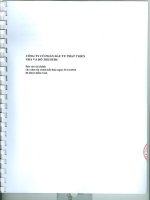 Báo cáo tài chính năm 2012 (đã kiểm toán) - Công ty cổ phần Đầu tư Phát triển nhà và Đô thị HUD 6