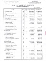 Báo cáo tài chính hợp nhất quý 2 năm 2011 - Công ty Cổ phần Thương mại Hóc Môn
