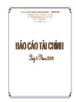 Báo cáo tài chính quý 1 năm 2010 - Công ty Cổ phần Xây dựng Công nghiệp DESCON