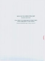 Báo cáo tài chính công ty mẹ năm 2013 (đã kiểm toán) - Công ty Cổ phần Đầu tư Phát triển Công nghệ Điện tử Viễn thông