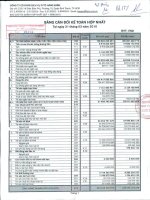 Báo cáo tài chính hợp nhất quý 1 năm 2010 - Công ty Cổ phần Dịch vụ Ô tô Hàng Xanh