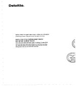 Báo cáo tài chính hợp nhất năm 2011 (đã kiểm toán) - Tổng Công ty Khí Việt Nam-CTCP