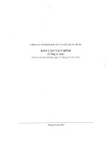 Báo cáo tài chính công ty mẹ quý 4 năm 2012 - Công ty Cổ phần Đầu tư và Xây dựng HUD1