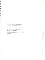 Báo cáo tài chính năm 2007 (đã kiểm toán) - Công ty Cổ phần Khoáng sản và Xây dựng Bình Dương