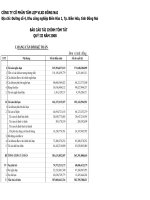 Báo cáo tài chính quý 3 năm 2008 - Công ty Cổ phần Tấm lợp Vật liệu xây dựng Đồng Nai