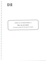 Báo cáo tài chính năm 2014 (đã kiểm toán) - Công ty Cổ phần Đông Á