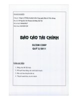 Báo cáo tài chính công ty mẹ quý 2 năm 2011 - Công ty Cổ phần Đầu tư Phát triển Công nghệ Điện tử Viễn thông