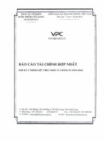 Báo cáo tài chính hợp nhất quý 1 năm 2016 - Công ty Cổ phần Dược phẩm Cửu Long