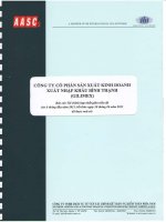 Báo cáo tài chính hợp nhất quý 2 năm 2011 (đã soát xét) - Công ty Cổ phần Sản xuất Kinh doanh Xuất nhập khẩu Bình Thạnh