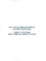 Báo cáo tài chính công ty mẹ quý 2 năm 2014 (đã soát xét) - Công ty Cổ phần Phát triển Hạ tầng Kỹ thuật