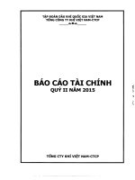 Báo cáo tài chính công ty mẹ quý 2 năm 2015 - Tổng Công ty Khí Việt Nam-CTCP