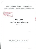 Báo cáo thường niên năm 2010 - Công ty Cổ phần Tấm lợp Vật liệu xây dựng Đồng Nai