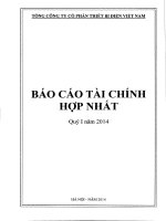 Báo cáo tài chính hợp nhất quý 1 năm 2014 - Tổng Công ty cổ phần Thiết bị điện Việt Nam