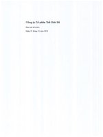 Báo cáo tài chính năm 2014 (đã kiểm toán) - Công ty cổ phần Thế giới số