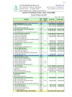 Báo cáo tài chính quý 2 năm 2009 - Công ty Cổ phần Chế biến Gỗ Thuận An