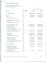 Báo cáo tài chính hợp nhất quý 4 năm 2010 - Công ty Cổ phần Full Power