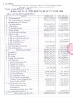 Báo cáo tài chính quý 1 năm 2009 - Công ty Cổ phần Tập đoàn Dabaco Việt Nam