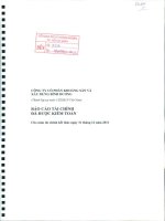 Báo cáo tài chính năm 2011 (đã kiểm toán) - Công ty Cổ phần Khoáng sản và Xây dựng Bình Dương