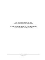 Báo cáo tài chính công ty mẹ năm 2008 (đã kiểm toán) - Công ty cổ phần Tập đoàn Hòa Phát