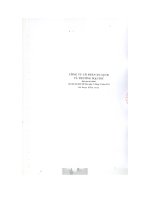 Báo cáo tài chính năm 2014 (đã kiểm toán) - CTCP Du lịch và Thương mại DIC