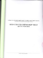 Báo cáo tài chính hợp nhất quý 4 năm 2014 - Công ty Cổ phần Bột giặt và Hoá chất Đức Giang