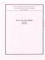 Báo cáo tài chính quý 3 năm 2013 - Công ty Cổ phần Đầu tư Dịch vụ Hoàng Huy