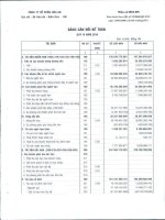 Báo cáo tài chính quý 4 năm 2010 - Công ty Cổ phần Hóa An