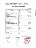 Báo cáo KQKD quý 1 năm 2013 - Công ty cổ phần Thương mại và Khai thác Khoáng sản Dương Hiếu