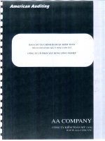 Báo cáo tài chính năm 2012 (đã kiểm toán) - Công ty Cổ phần Xây dựng Công nghiệp DESCON