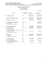 Báo cáo tài chính quý 2 năm 2009 - Công ty Cổ phần Xi măng Hà Tiên 2