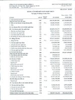 Báo cáo tài chính hợp nhất quý 4 năm 2011 - Công ty Cổ phần Tập đoàn Nhựa Đông Á