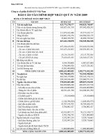 Báo cáo tài chính hợp nhất quý 4 năm 2009 - Công ty Cổ phần Tập đoàn Dabaco Việt Nam