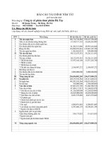 Báo cáo tài chính quý 3 năm 2009 - Công ty Cổ phần Dược phẩm Hà Tây