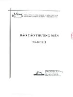 Báo cáo thường niên năm 2013 - Công ty Cổ phần Xi măng Vicem Hải Vân