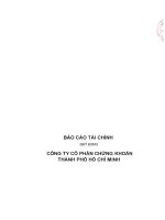 Báo cáo tài chính quý 2 năm 2012 - Công ty Cổ phần Chứng khoán Thành phố Hồ Chí Minh