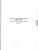 Báo cáo tài chính quý 2 năm 2012 (đã soát xét) - Công ty Cổ phần Chứng khoán Đông Dương