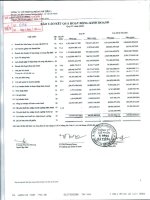 Báo cáo KQKD quý 4 năm 2010 - Công ty Cổ phần Xi Măng Hà Tiên 1