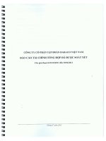Báo cáo tài chính công ty mẹ quý 2 năm 2011 (đã soát xét) - Công ty Cổ phần Tập đoàn Dabaco Việt Nam