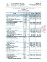 Báo cáo tài chính quý 1 năm 2013 - Công ty Cổ phần Chế biến Gỗ Thuận An